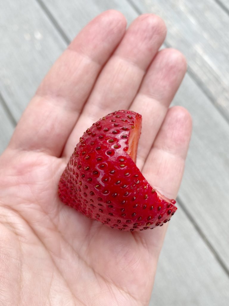 Strawberry in the palm of a hand